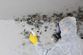 Why You Should Choose Our Mold Remediation Services in Bladenboro, NC